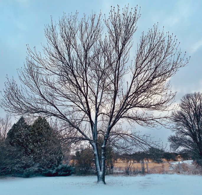 snow day lifestyle blog just jay new blog waiting life